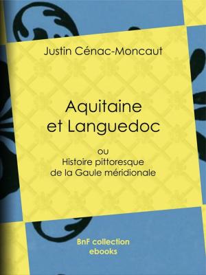 Cover of the book Aquitaine et Languedoc by Astolphe de Custine