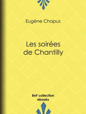 Cover of the book Les soirées de Chantilly by Robert de la Villehervé