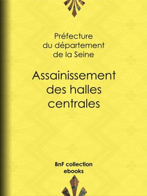Cover of the book Assainissement des halles centrales by Georges Clemenceau