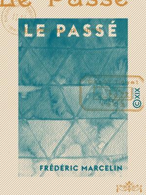 Cover of the book Le Passé - Impressions haïtiennes by Alphonse Daudet
