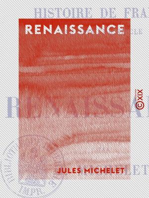 Cover of the book Renaissance - Histoire de France by Louis Figuier