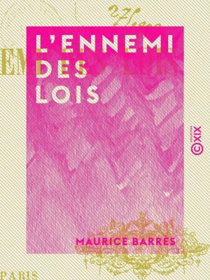 Cover of the book L'Ennemi des lois by Pierre-Jules Hetzel