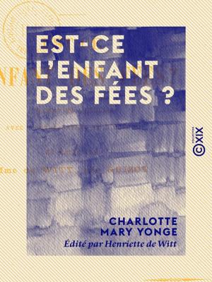 Book cover of Est-ce l'enfant des fées ?