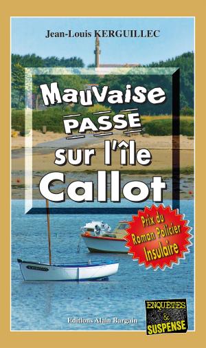 Book cover of Mauvaise passe sur l'île Callot