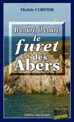 Cover of the book Il court, il court le furêt des Abers by Gérard Croguennec