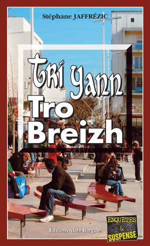 Cover of the book Tri Yann Tro Breizh by Martine Le Pensec