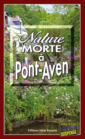 Book cover of Nature morte à Pont-Aven