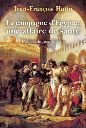 Book cover of La Campagne d'Égypte : une affaire de santé
