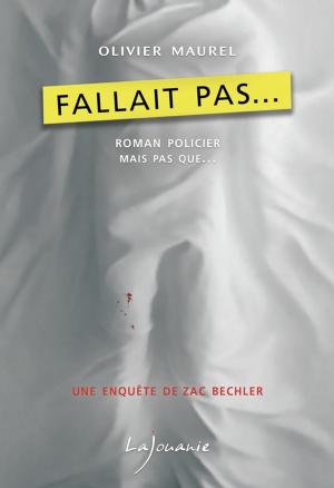 Book cover of Fallait pas…