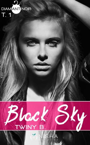 Cover of the book Black sky - tome 1 by Julie Bradfer