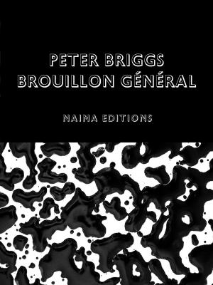 Cover of the book Peter Briggs : Brouillon general by Stéphane Couturier