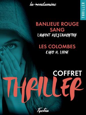 Cover of the book Coffret Thriller by Serge Betsen