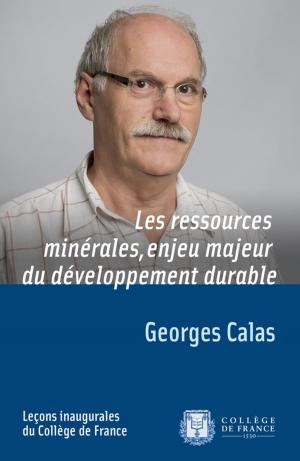 Cover of the book Les ressources minérales, enjeu majeur du développement durable by Gérard Berry