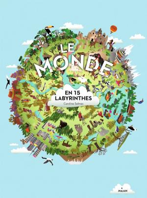 Cover of the book Le monde en 15 labyrinthes by Paul Stewart, Amélie Sarn