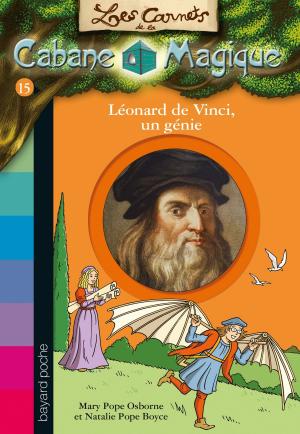 Cover of the book Les carnets de la cabane magique, Tome 15 by R.L Stine