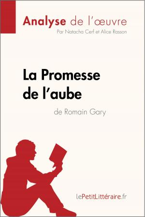 Cover of the book La Promesse de l'aube de Romain Gary (Analyse de l'oeuvre) by Elena Pinaud, lePetitLittéraire.fr