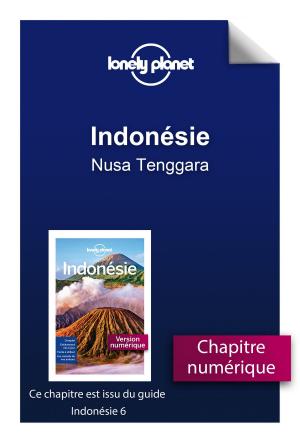 Cover of the book Indonésie - Nusa Tenggara by Virginie MEGGLE