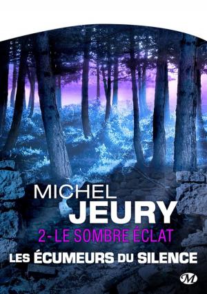 Cover of the book Le Sombre éclat by Slimane-Baptiste Berhoun, François Descraques