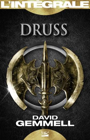 Cover of the book Druss - L'Intégrale by Warren Murphy, Richard Sapir