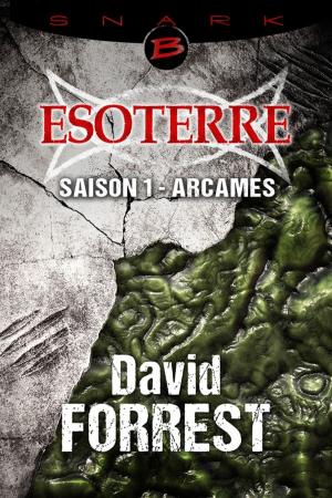 Cover of the book Arcames — L'Intégrale de la saison 1 by Tanya Huff