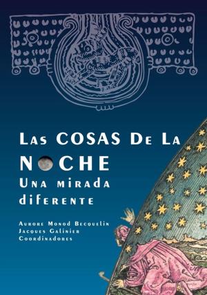 Cover of the book Las cosas de la noche by Michel Bertrand