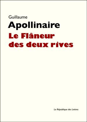 Cover of the book Le Flâneur des deux rives by Blaise Pascal