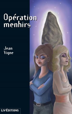 Book cover of Opération menhirs