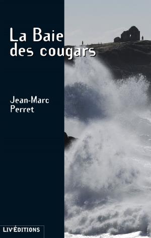 Cover of the book La Baie des Cougars by Martine Rouellé