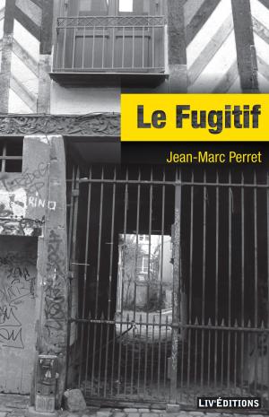 Cover of the book Le Fugitif by Jean-François Coatmeur