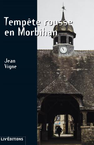Book cover of Tempête rousse en Morbihan