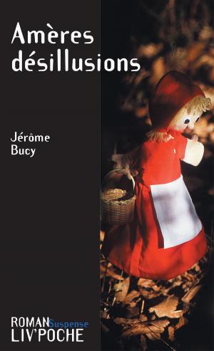 Cover of the book Amères désillusions by Jean-François Coatmeur