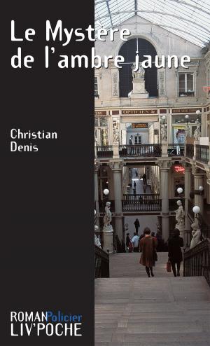 Cover of the book Le Mystère de l'ambre jaune by Christian Denis