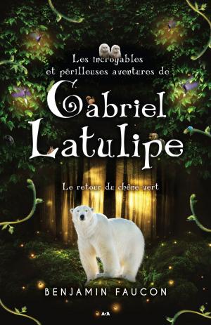 Cover of the book Les incroyables et périlleuses aventures de Gabriel Latulipe by Amanda Scott