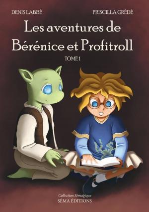 Cover of the book Les Aventures de Bérénice et Profitroll, tome 1 by Delphine Schmitz
