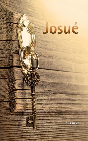 Cover of the book Josué by Ricky Medeiros