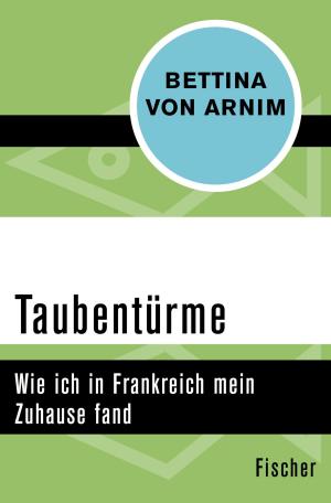 Cover of the book Taubentürme by Elmar Wiesendahl