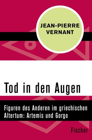 Cover of the book Tod in den Augen by Luise Rinser