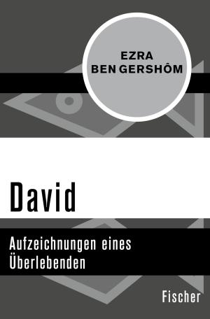 Cover of the book David by Stefan Murr