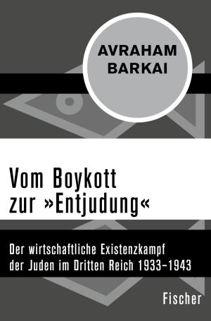 Cover of the book Vom Boykott zur "Entjudung" by Prof. Dr. Manfred Vasold