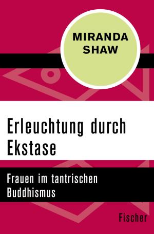Cover of the book Erleuchtung durch Ekstase by Avraham Barkai