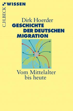 Book cover of Geschichte der deutschen Migration