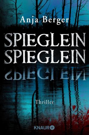 Cover of the book Spieglein, Spieglein by Daniel Holbe