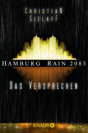 Cover of the book Hamburg Rain 2085. Das Versprechen by Anselm Rodenhausen