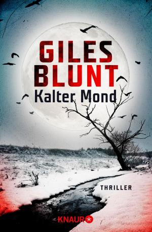 Book cover of Kalter Mond