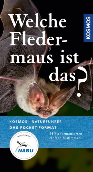 Cover of the book Welche Fledermaus ist das? by Henriette Wich