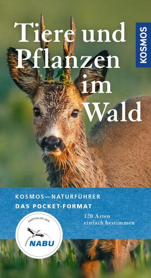 Cover of the book Tiere und Pflanzen unserer Wälder by Anna Benzing