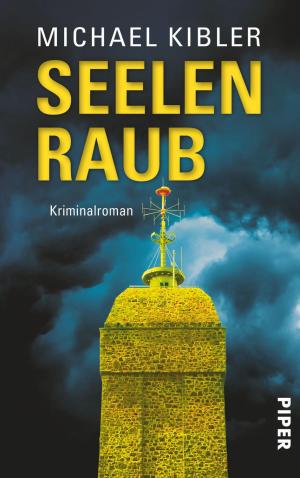 Cover of the book Seelenraub by Berit Reiss-Andersen, Anne Holt