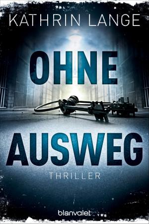 Book cover of Ohne Ausweg