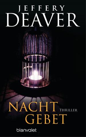 Cover of the book Nachtgebet by Troy Denning