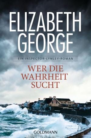 Cover of the book Wer die Wahrheit sucht by Elisabeth Herrmann